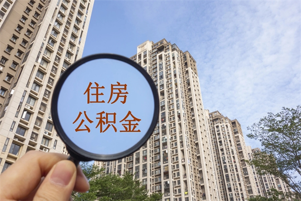 莱芜辞职多久公积金可以全部取出来吗（辞职之后公积金多长时间可以取）